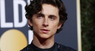 The star of the movie "Dune" Timothée Chalamet bought a mansion for 11 million dollars (9 photos)
