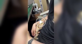 Прокинутися, покричати і знову заснути
