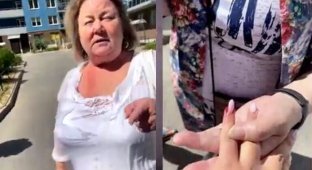 "Вы пришли на территорию нашего дома": в Петербурге женщины снова не поделили детскую площадку (6 фото + 1 видео)