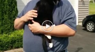 Мужчина помогает своей раненной кошке справить нужду