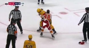 The referee prevented the hockey player from being injured