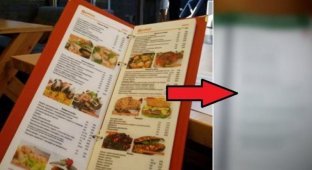 Если в ресторане вам вынесли такое меню, вставайте и уходите! (11 фото)