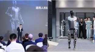 В Китае представили робота на электричестве (2 фото + 2 видео)