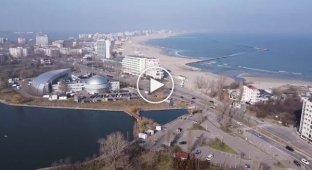 A seagull crashed into a drone in Romania