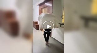 Курьера заставили подниматься по лестнице с тяжелой посылкой