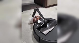 A robot vacuum cleaner with a mechanical arm that can collect scattered socks was created in China around the house