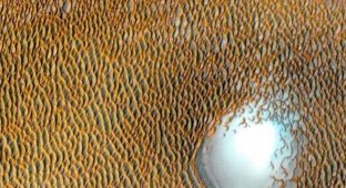 Потрясающее изображение «Море дюн» на Марсе (3 фото)