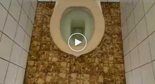 Самый лучший туалет в мире - найден!