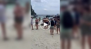 В Таиланде обезьяны атаковали туристов на пляже