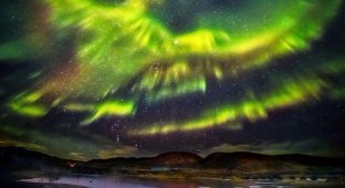 Невероятное фото северного сияния, принявшего форму феникса (5 фото)