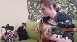 Блюз черных котов