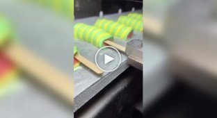 Weird Videos (Short Videos) Issue 38