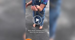 Girl returned from a walk with trophies