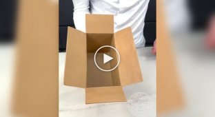 It will definitely stick together: a cake in the form of a cardboard box