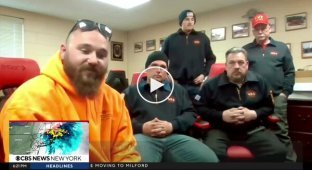 Собаку, сунувшую голову в колесо, пришлось спасать с помощью плазменного резака