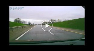 Пес, выбежав на магистраль, стал причиной крупного ДТП