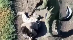 Russian shoots his accomplice point-blank in Zaporizhia direction