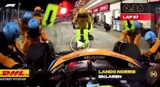 A new Formula 1 pit stop speed record was set at the Qatar Grand Prix