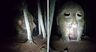 Пользователи показали снимки неожиданных и жутких находок, сделанных в дремучем лесу (15 фото)