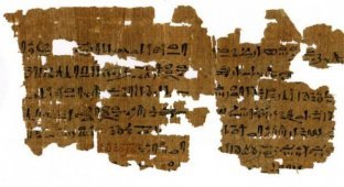 Стало ясно, как древние египтяне проводили тест на беременность (2 фото)