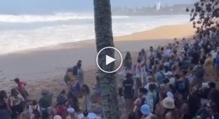 Waves almost washed away a crowd of onlookers into the ocean