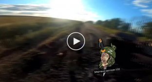 Подборка видео с пленными и убитыми в Украине. Выпуск 34