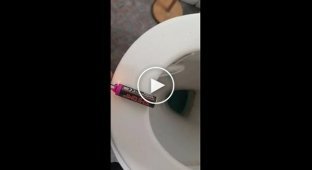 Firecracker in the toilet, what could go wrong
