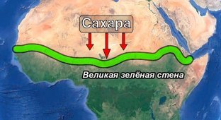 Великая зелёная стена: как Африка хочет остановить опустынивание и защититься от Сахары? (6 фото)