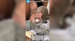 Россияне посадили на цепь и держат в собачьей будке своего сообщника-отказника