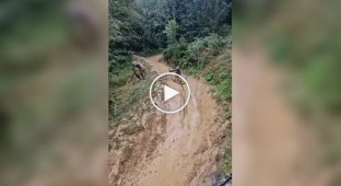 Bike racing. Or what will work