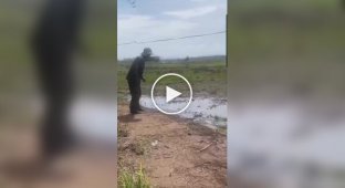 Схватка со змеей