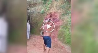 A lucky day for a novice knife thrower
