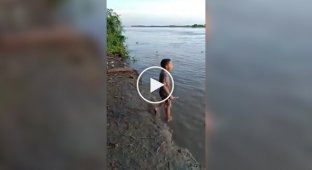 Мальчик из Бразилии держит аллигатора как «домашнего питомца»