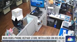 In the US, a robber tried to hide his appearance with a cardboard box, but still caught himself