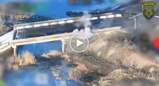 Drones of the 110th Brigade Destroyed Occupiers Hiding Under a Bridge