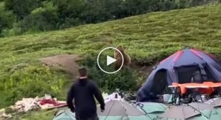 The guy chased away the bear, interested in the contents of the tent