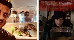 Старые друзья: Сильвестр Сталлоне и две черепахи из фильма «Рокки» встретились спустя более 40 лет (5 фото + 1 видео)