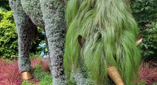 Живые гиганты из Ботанического сада Атланты (12 фото)