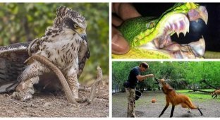 30 пугающих чудес из мира природы (31 фото)