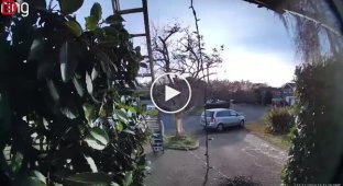 Holiday mishap: man falls down stairs while hanging fairy lights