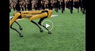 Робот Boston Dynamics станцевал с чирлидершами на стадионе