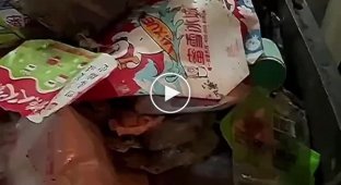 Арендодатель из Китая сдал квартиру девушке, а через год решил проверить, как она живет