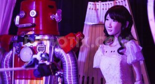 В Японии поженили роботов (3 фото)