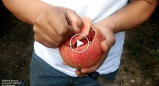 How to quickly peel a pomegranate