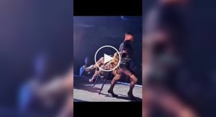 A dancer dropped Madonna at a concert