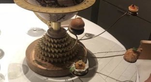 Strange serving of food in cafes and restaurants (15 photos)