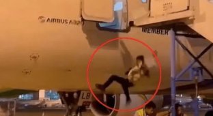 A man fell out of an Airbus A320 plane while the ramp was being removed (2 photos + 1 video)