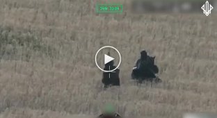 Drones of the Spartan Brigade destroy occupiers advancing on Pokrovsk
