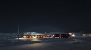 Первая кровь в Антарктиде: полярник пытался зарезать коллегу за спойлеры к книге (6 фото)