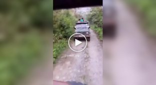 Носоріг спробував перевернути джип із туристами